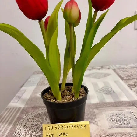 アパート Grazioso Bilocale Della Rosa A Cadorago *